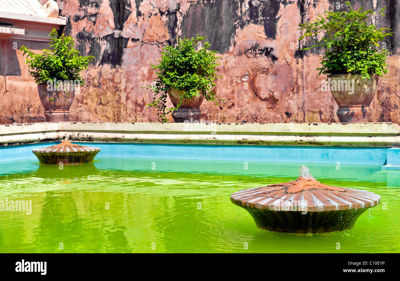 Green pool with fountain in Taman Sari water castle, Indonesia, Yogyakarta Stock Photo