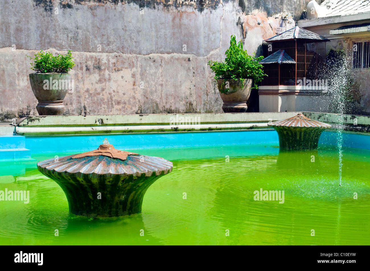 Green pool with fountain in Taman Sari water castle, Indonesia, Yogyakarta Stock Photo