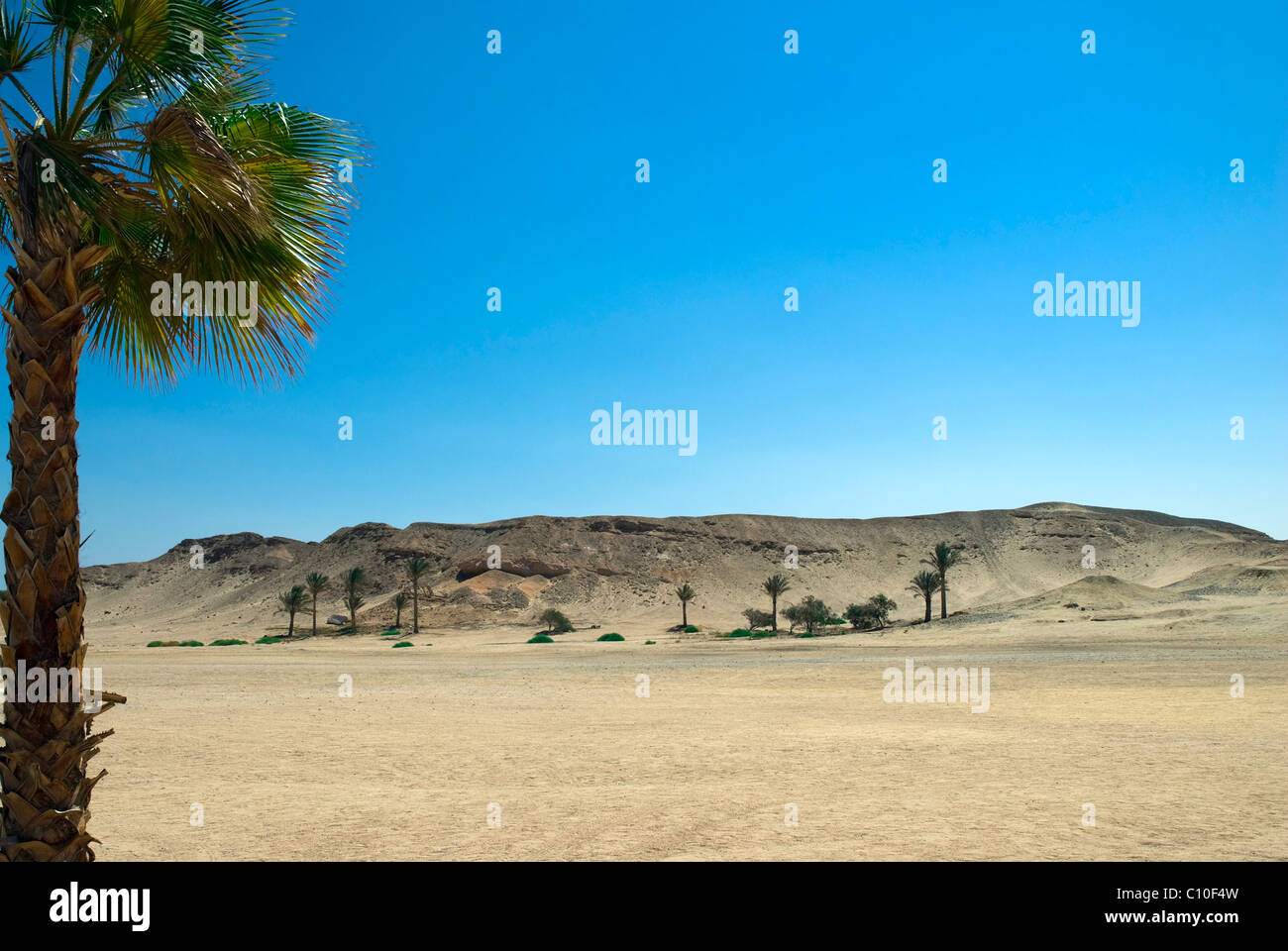 Desert, Marsa Alam, Red Sea, Egypt Stock Photo