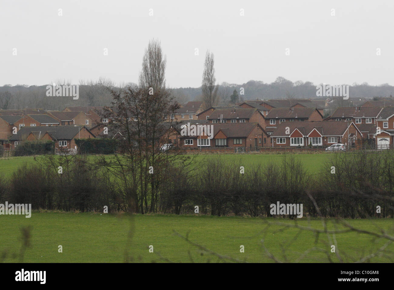 houses and field on Stubbing Lane, Worksop, Notts Stock Photo