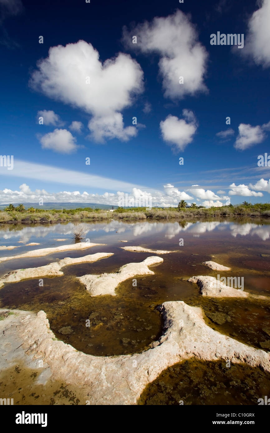 Galapagos landscape hi-res stock photography and images - Alamy