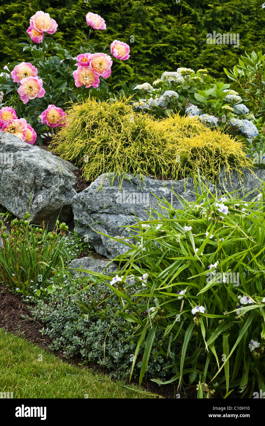 Springtime in the garden Stock Photo - Alamy
