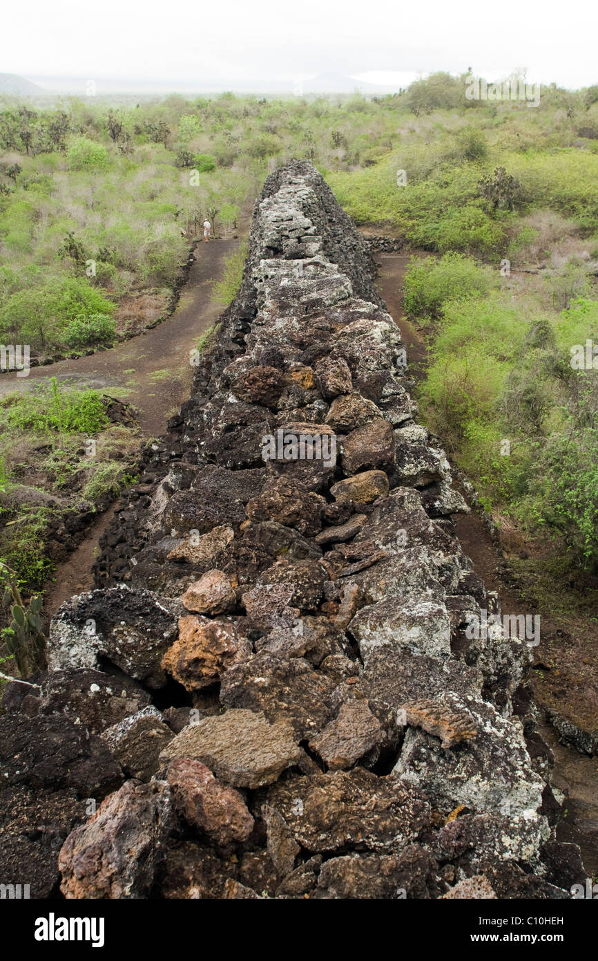 Wall of Tears (Muro de las lagrimas) -  Isabela Island - Galapagos Islands, Ecuador Stock Photo