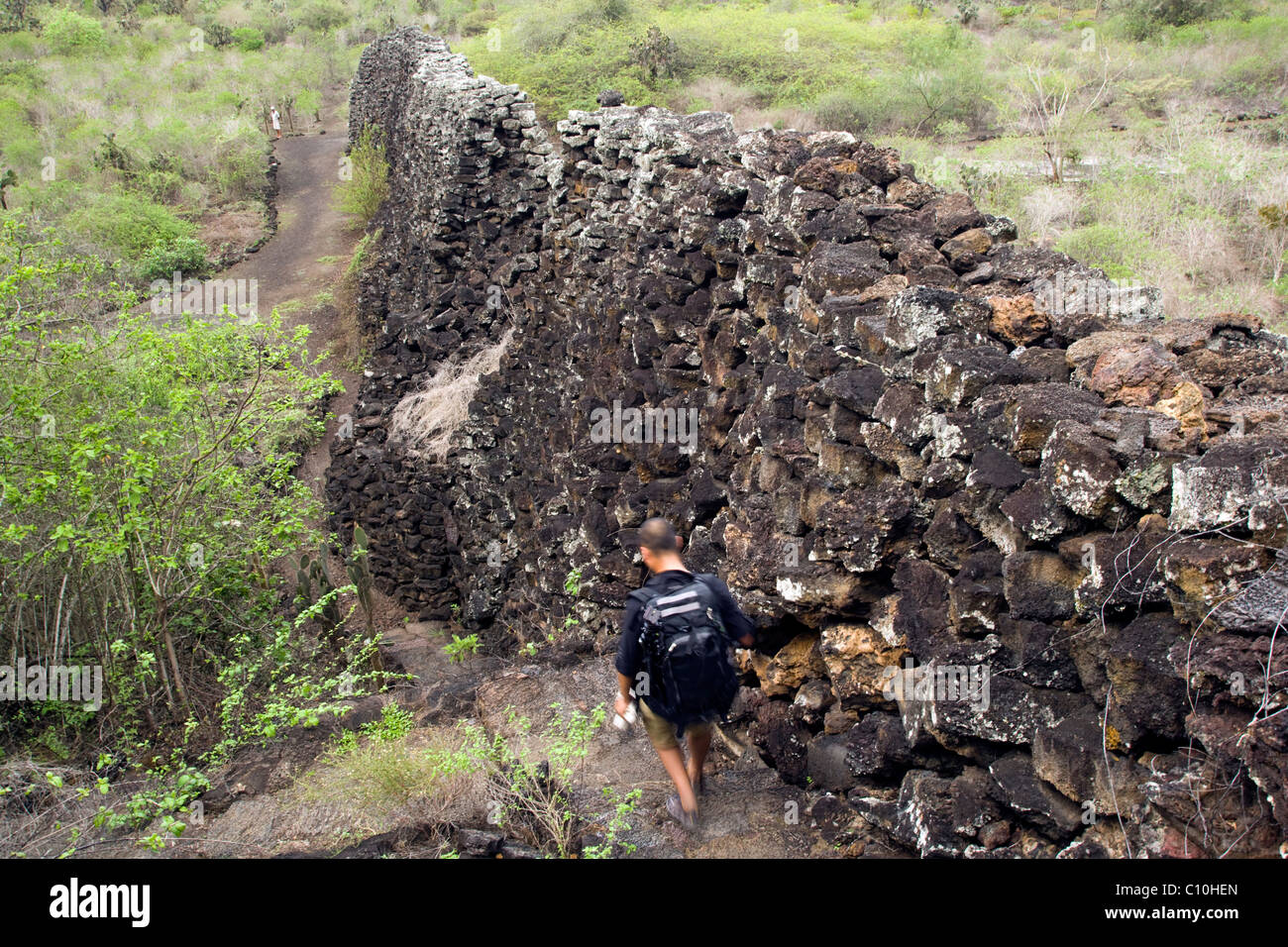 Wall of Tears (Muro de las lagrimas) -  Isabela Island - Galapagos Islands, Ecuador Stock Photo