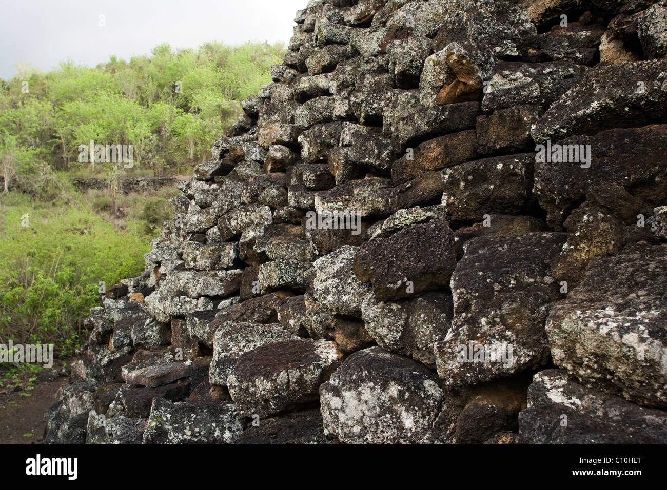 Wall of Tears (Muro de las lagrimas) -  Isabela Island - Galapagos Islands, Ecuador Stock Photo