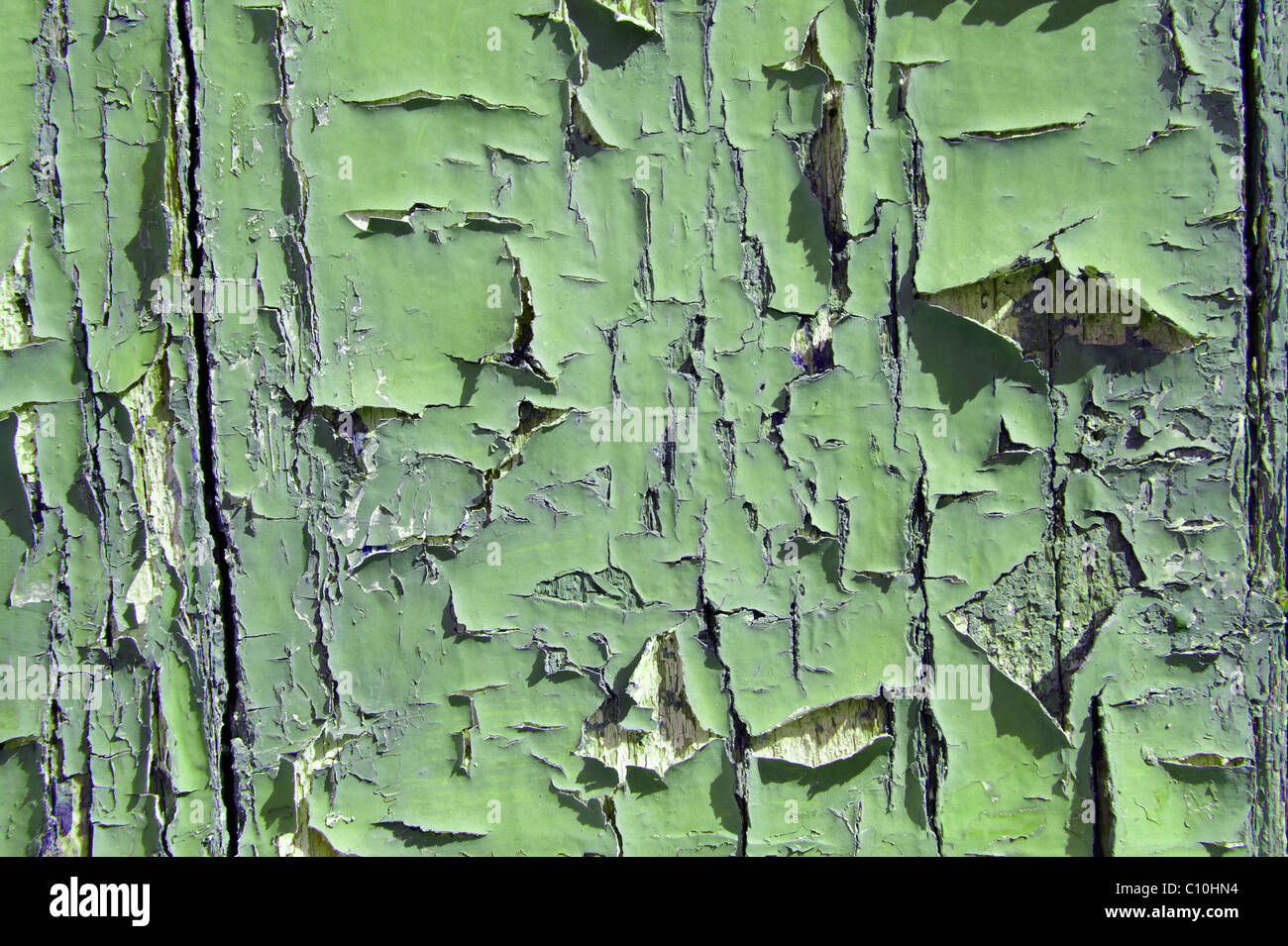 green peeling paint close up background Stock Photo