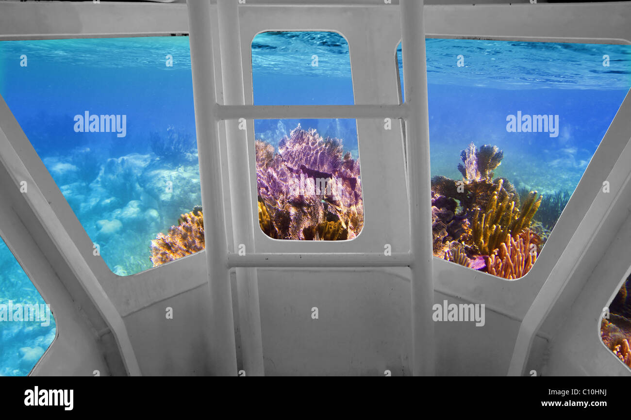 Tropical reef view from underwater submarine bow view Stock Photo