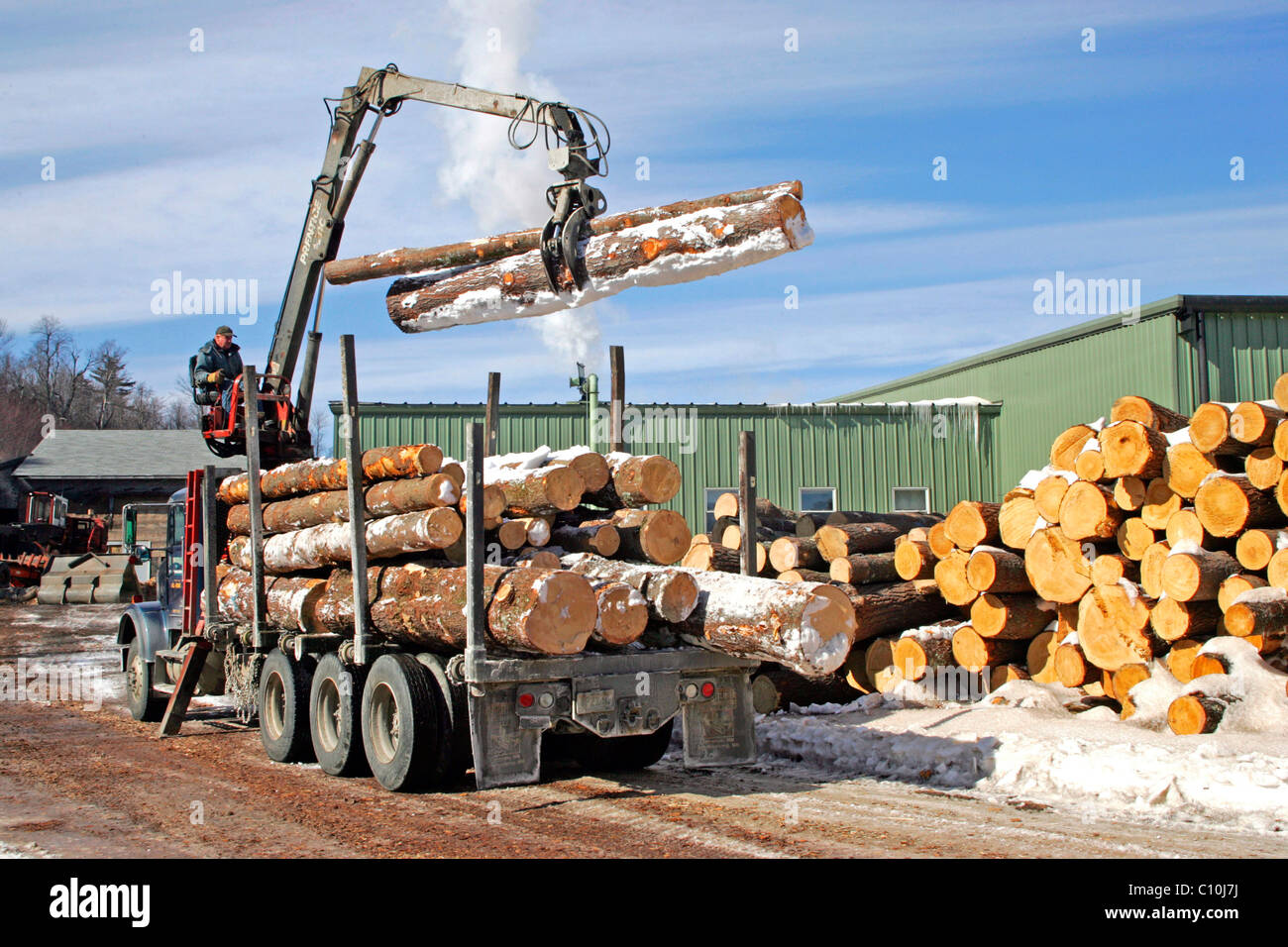 Logging, lumber mill, Springfield, New Hampshire, New England, USA
