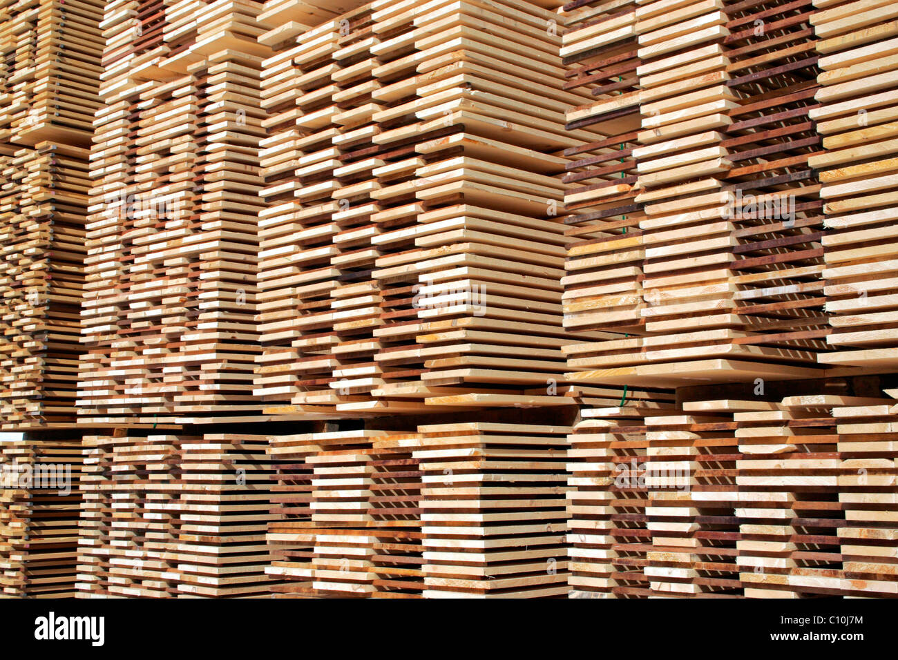 Logging, lumber mill, Springfield, New Hampshire, New England, USA