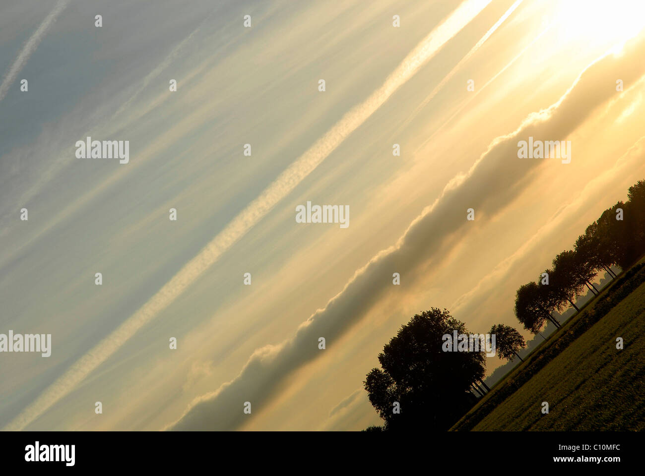 Diagonal angle of meadow at sunset Stock Photo