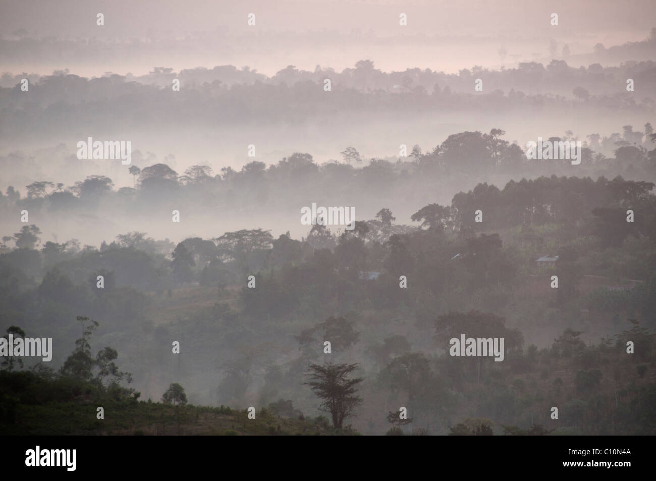 Uganda 2011. Mubende sunrise - misty landscape Stock Photo