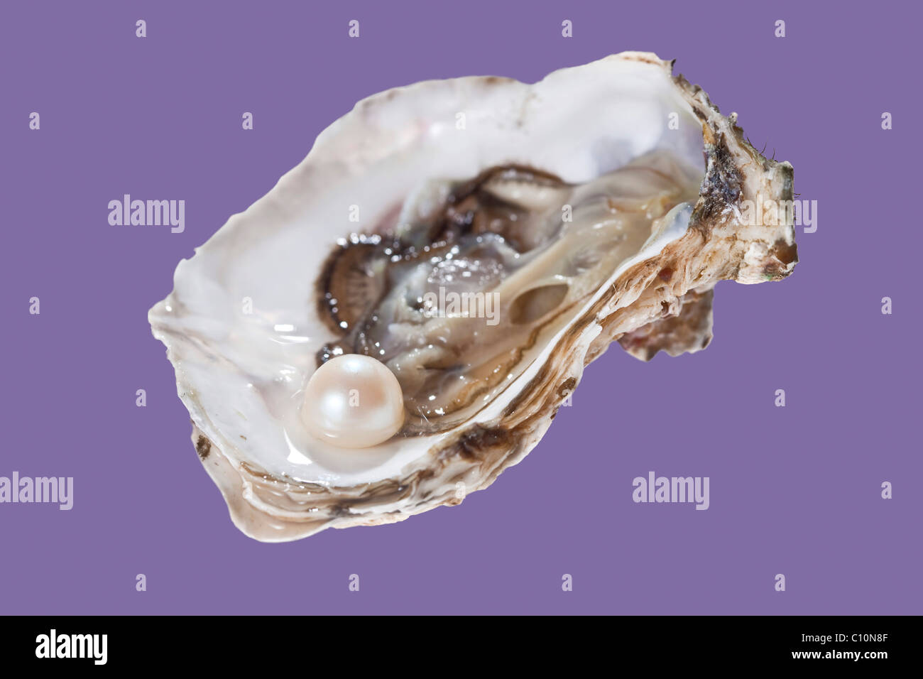 Opened oyster with pearl Stock Photo Alamy