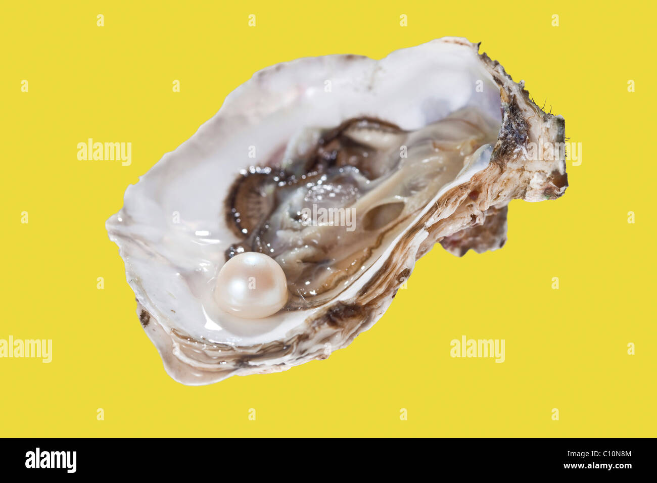 Opened oyster with pearl Stock Photo