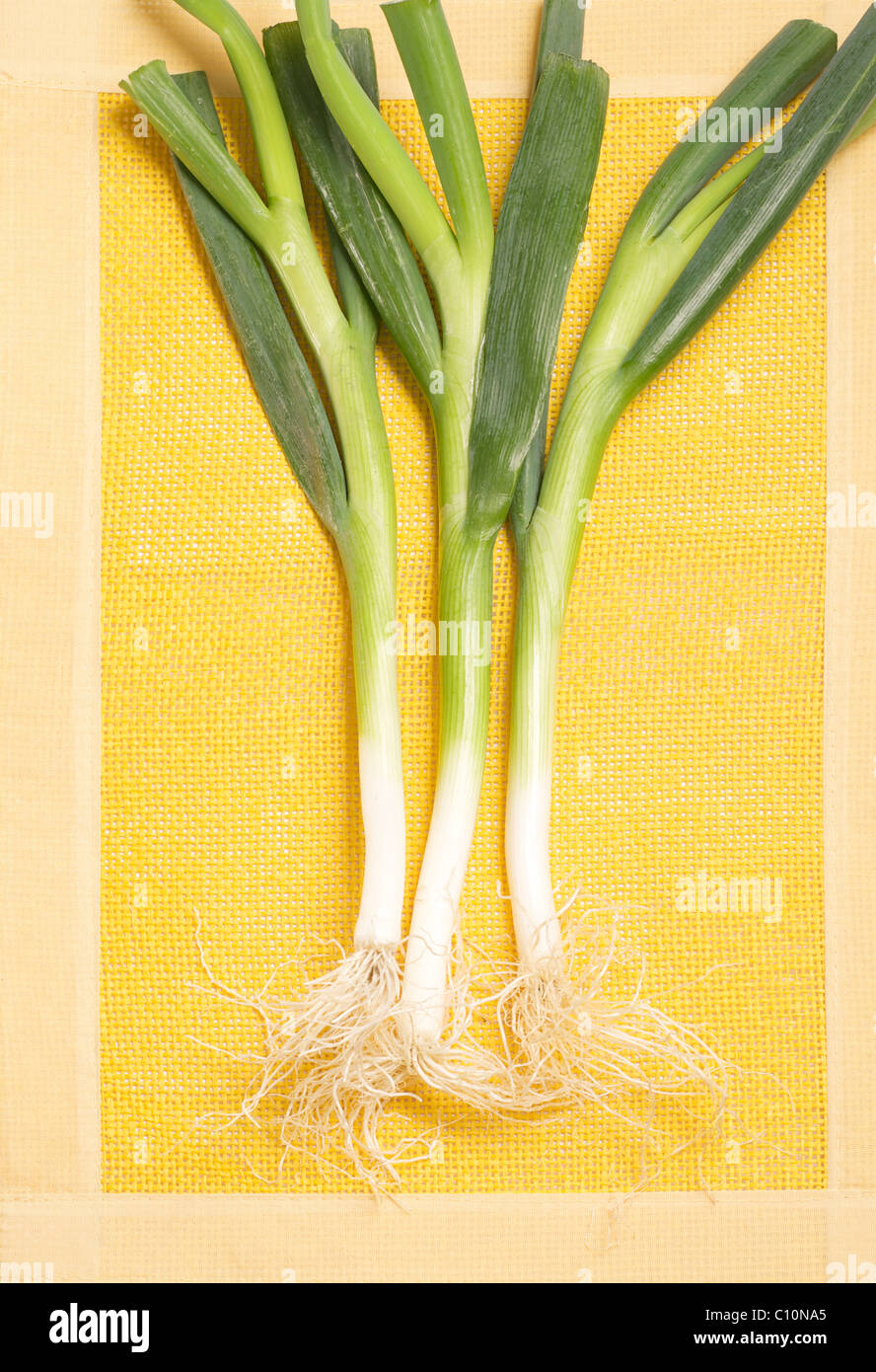 leek, Porro (Allium porrum) Stock Photo
