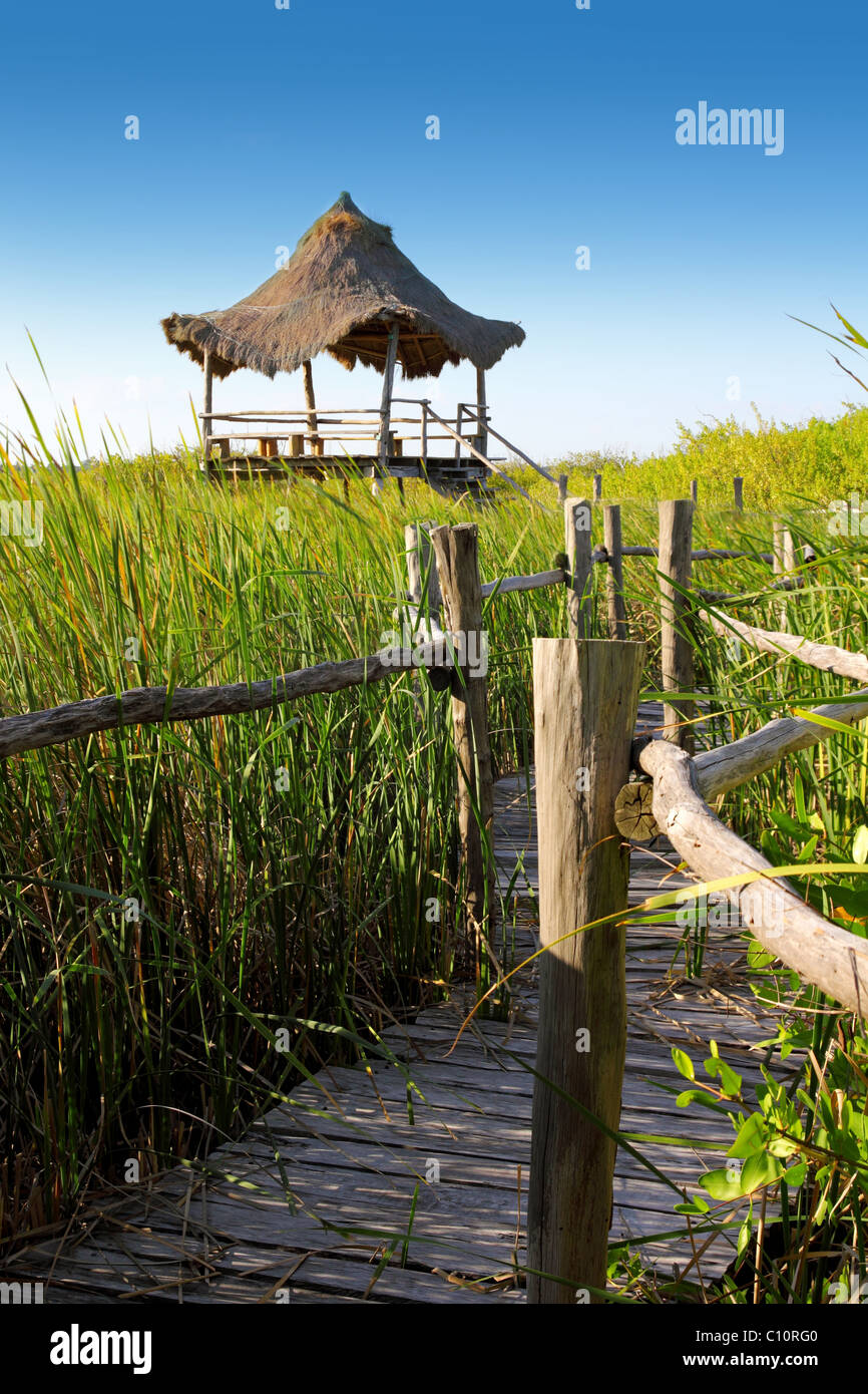 Reed hut hi-res stock photography and images - Alamy