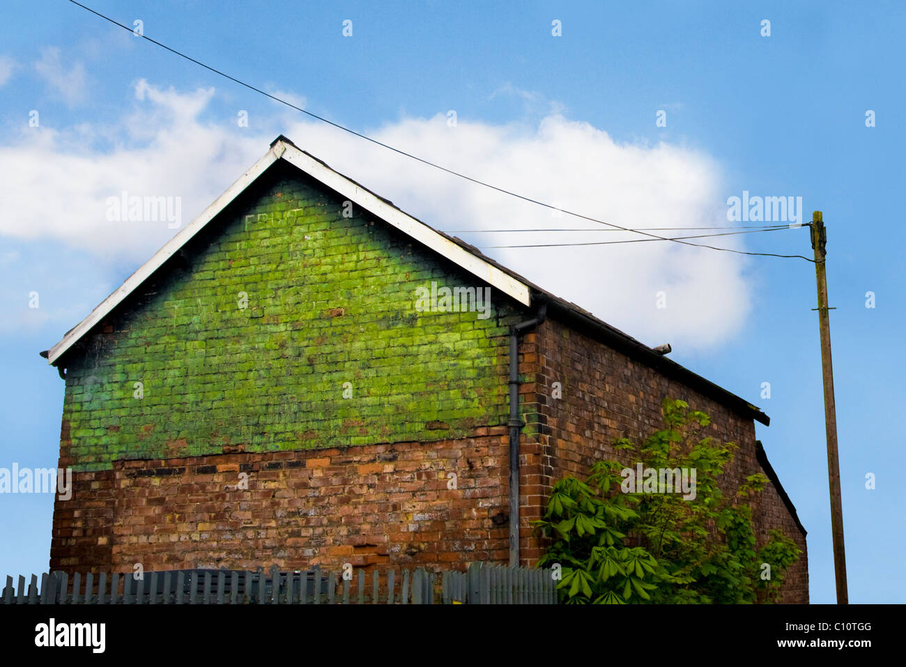 Brick house with green back in a clear blue sky Stock Photo