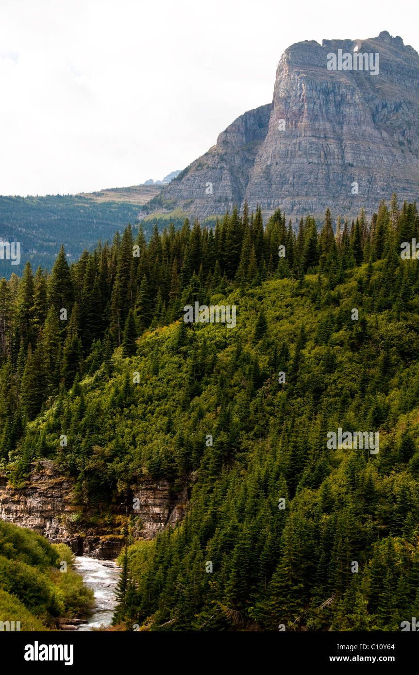 Flathead River,South Fork,Middle Fork,Logans Pass,Going To the Sun