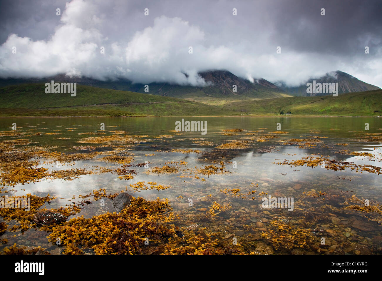 Water reflection on the Isle of Skye, Highland Council, Scotland, United Kingdom, Europe Stock Photo