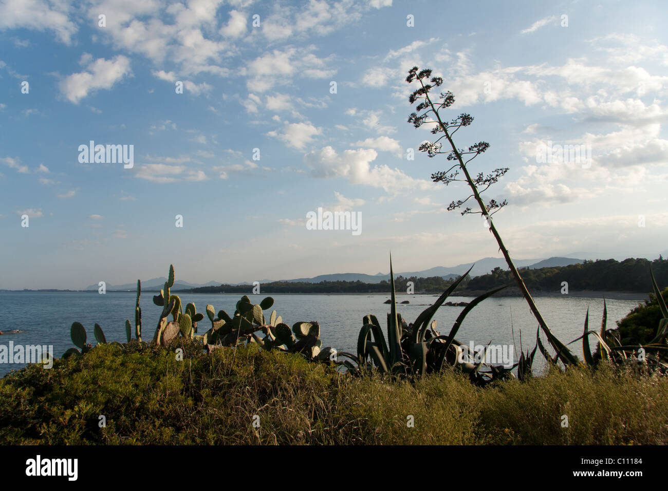 Seaside Costa Brava  landscape Stock Photo