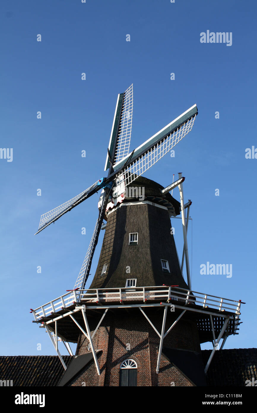 Oil and corn mill in Roderwolde in the Netherlands in Europe Stock Photo