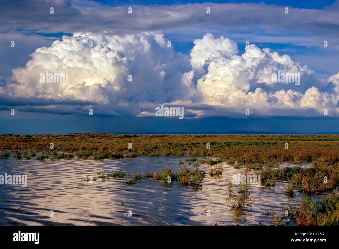 Huge cumulus cloud above the vast landscape of the Camargue, Alpilles in the back, Alpilles, Provence, southern France, France Stock Photo