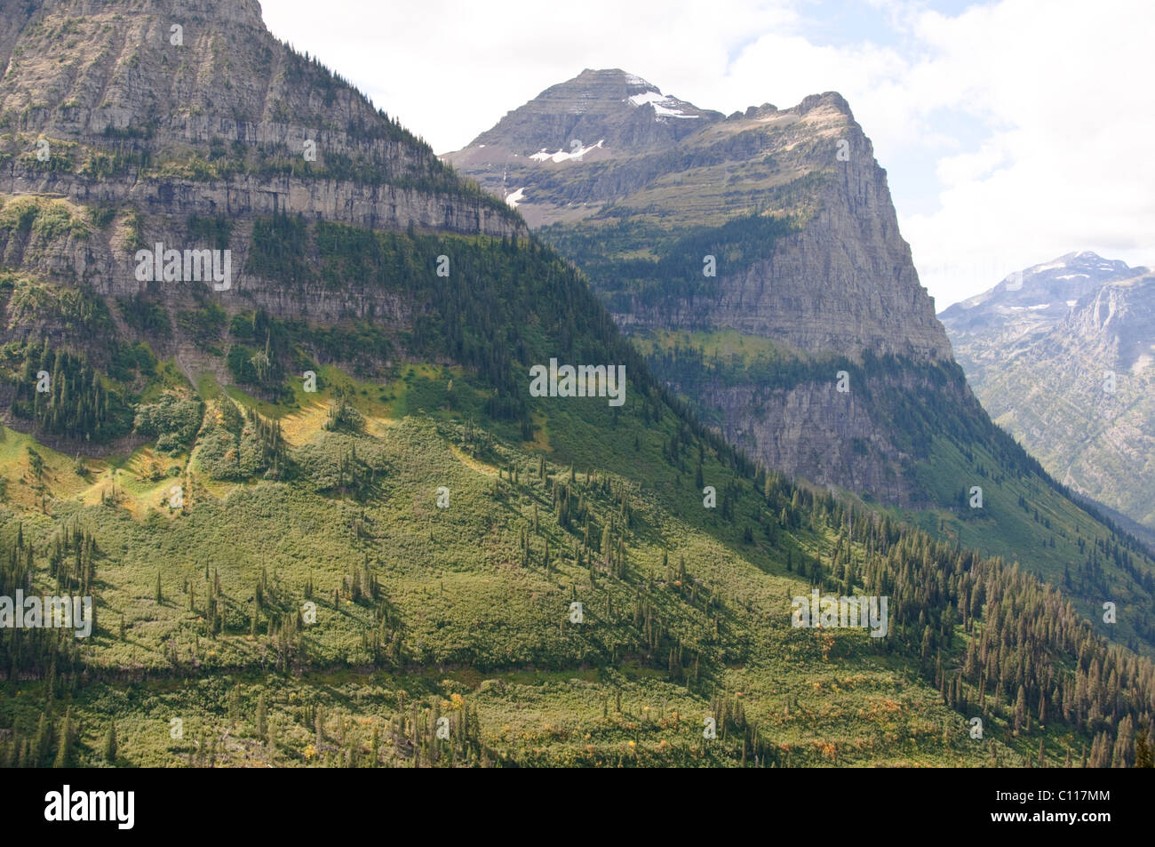 South fork flathead river hires stock photography and images Alamy