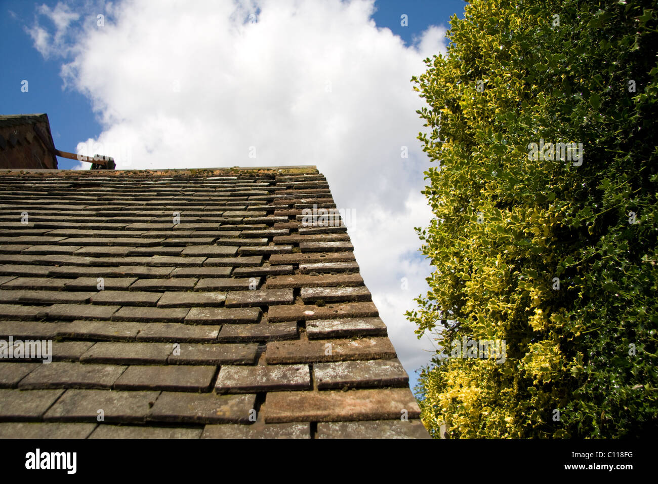 Tile roof and green tree on a cloudy day. Stock Photo