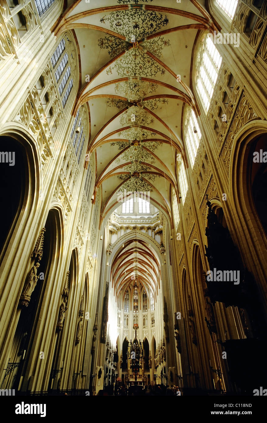 Sint-Janskathedraal, St. John's Cathedral, gothic rib-vaulted ceiling, 's-Hertogenbosch or Den Bosch, Noord-Brabant, Netherlands Stock Photo