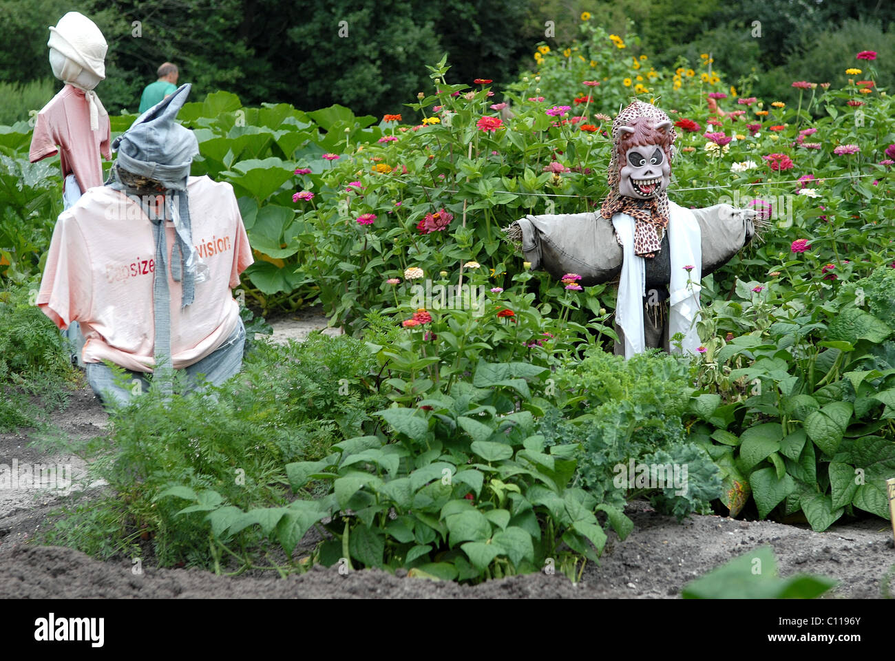 Scarecrows in garden Stock Photo