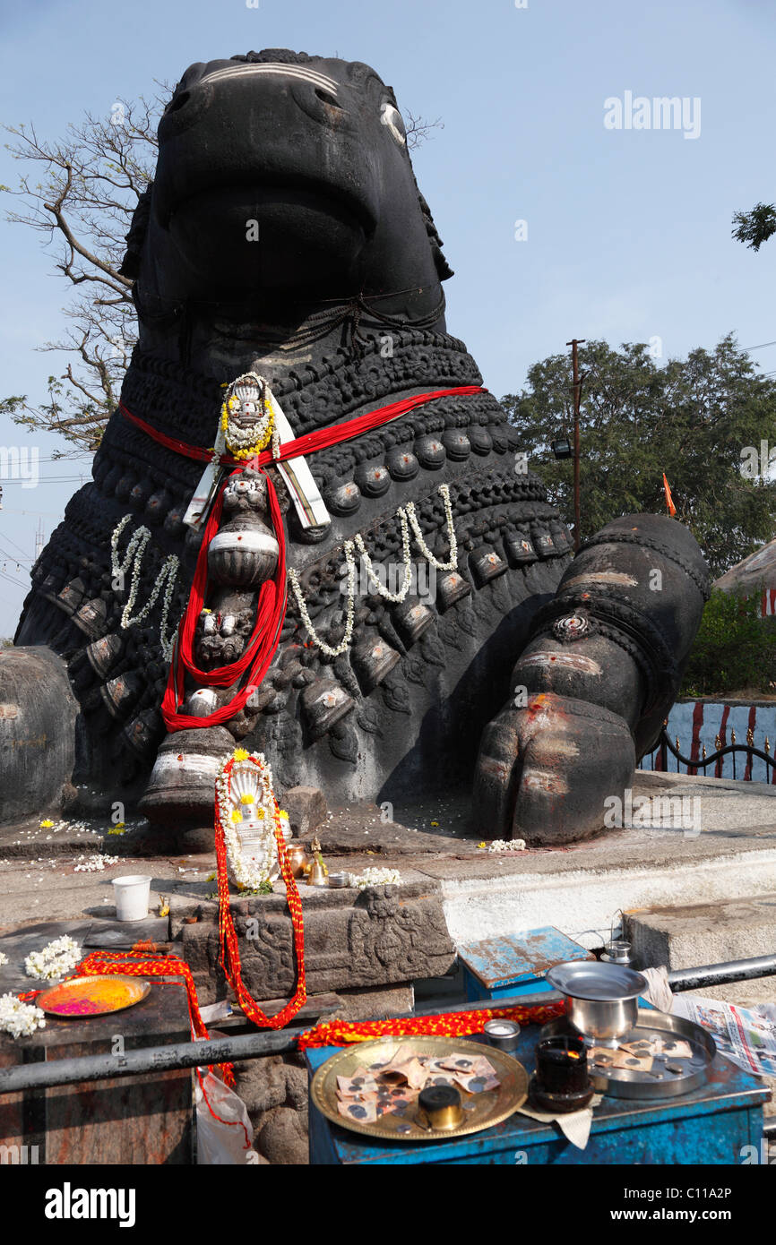 Stone Nandi statue, Chamundi Hill, Mysore, Karnataka, South India, India, South Asia, Asia Stock Photo