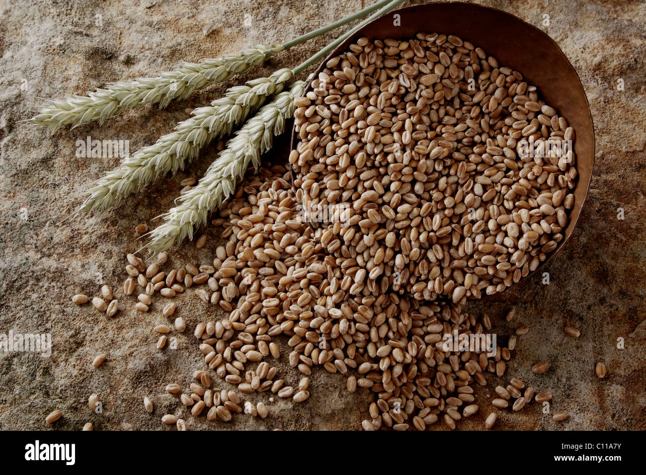 Wheat grains (Triticum) in a copper bowl on a stone surface Stock Photo