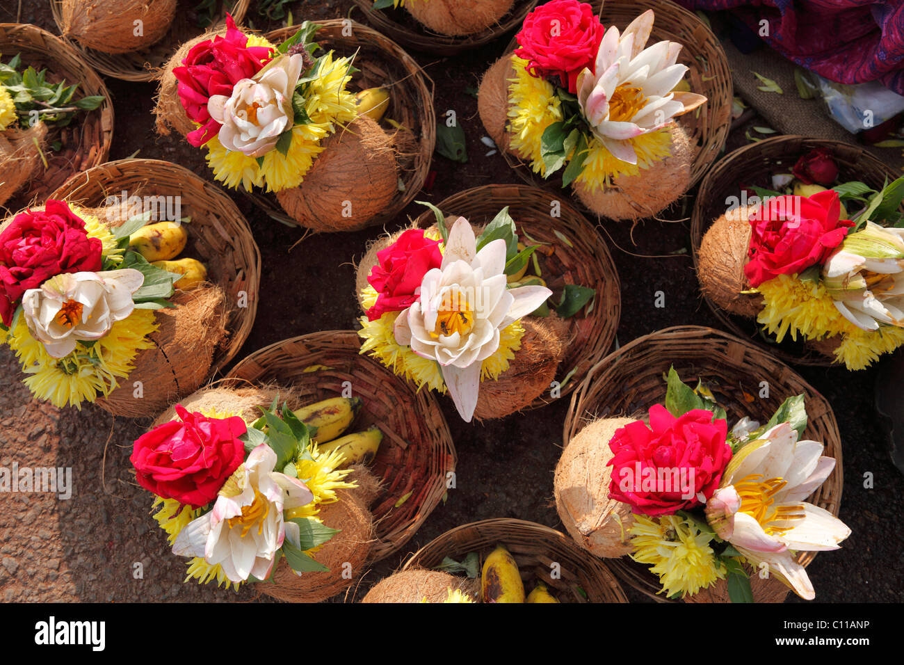 Bouquets with coconuts as offerings, Chamundi Hill, Mysore, Karnataka, South India, India, South Asia, Asia Stock Photo