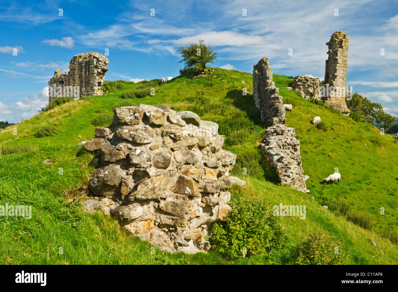 The ruined walls of Harbottle Castle in the Northumberland National Park, England. OS Ref: NT 931047 Stock Photo