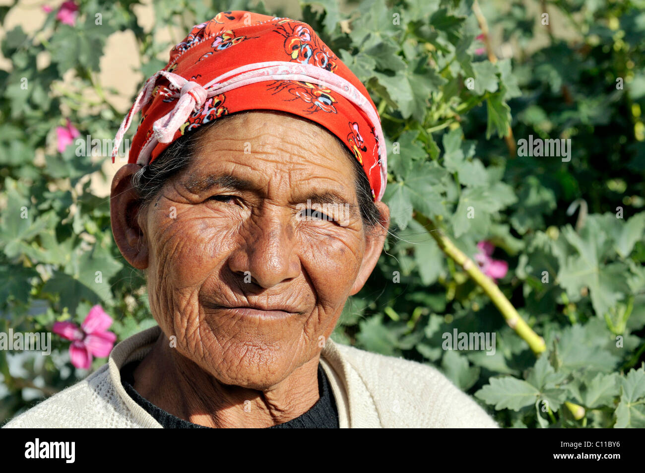 Old woman with a red headscarf, Bolivian Altiplano highlands, Departamento Oruro, Bolivia, South America Stock Photo
