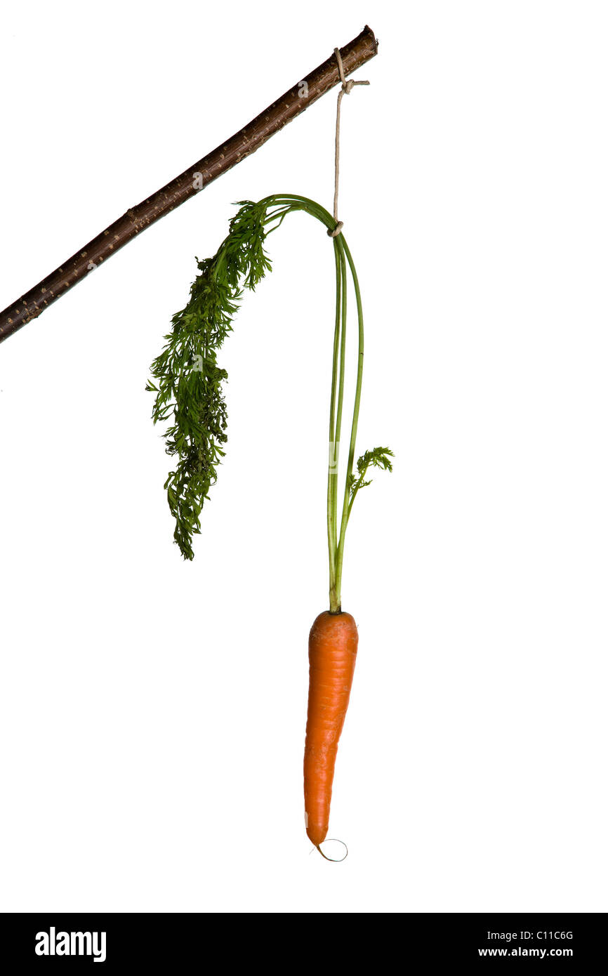 Carrot of motivation Stock Photo