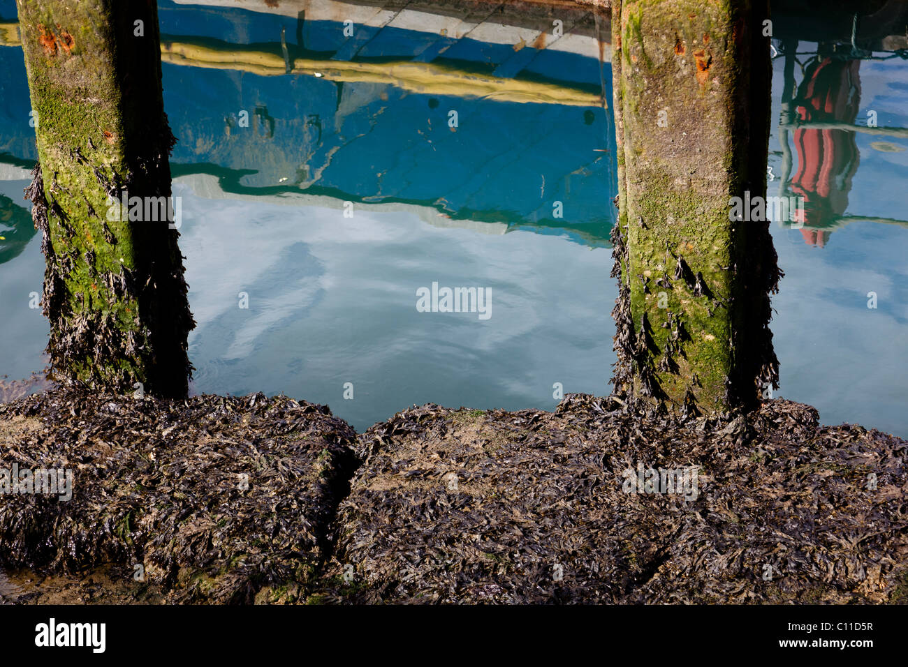 Seaweed covered pillars and stonework in Camber Dock, Portsmouth. Stock Photo