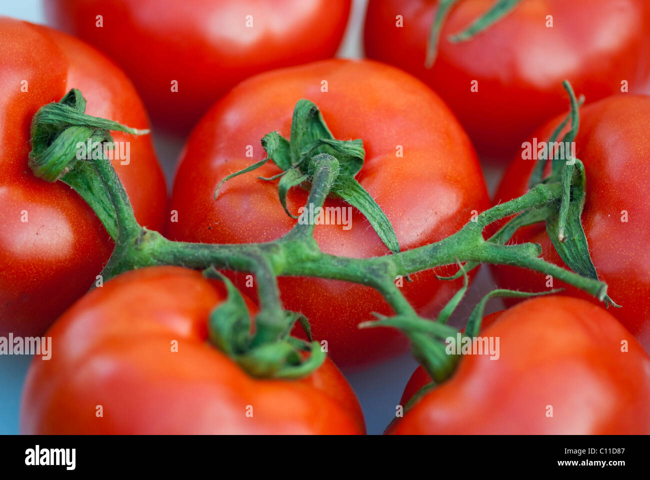 Fresh Tomatoes ready to be cut, Italy Stock Photo