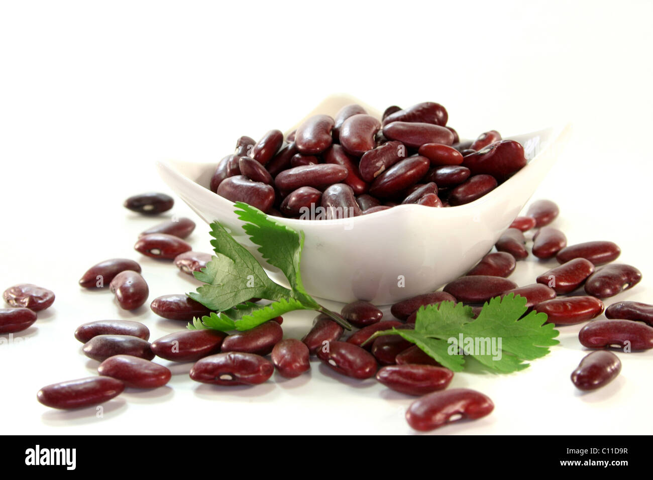 dried red kidney beans with coriander on a white background Stock Photo