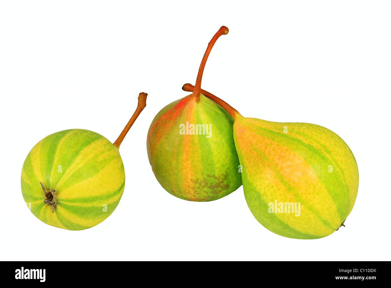 Pears, variety Schweizer Hose Stock Photo