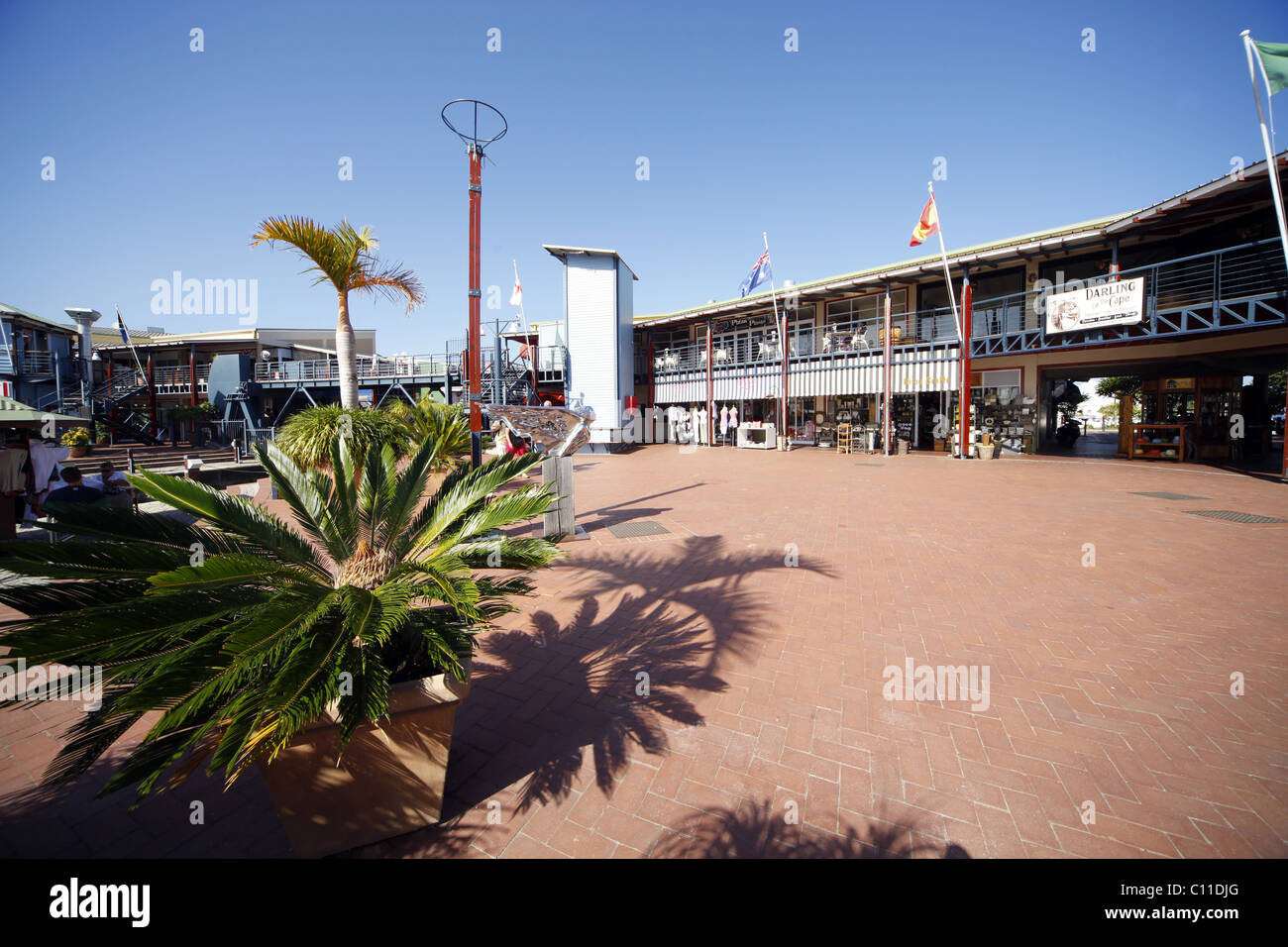 PALM TREE & SHOPS AT QUAY KNYSNA WESTERN CAPE SOUTH AFRICA 28 January