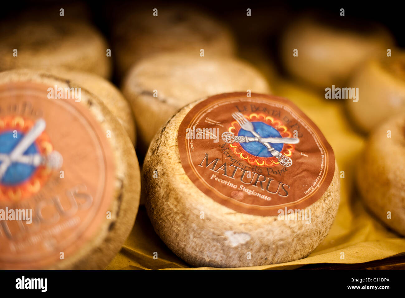 Maturus cheese, Pienza, Tuscany, Italy, Europe Stock Photo
