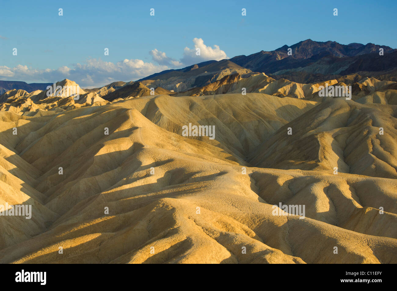 Siltstone erosion at Zabriskie Point, Furnace creek, Death Valley