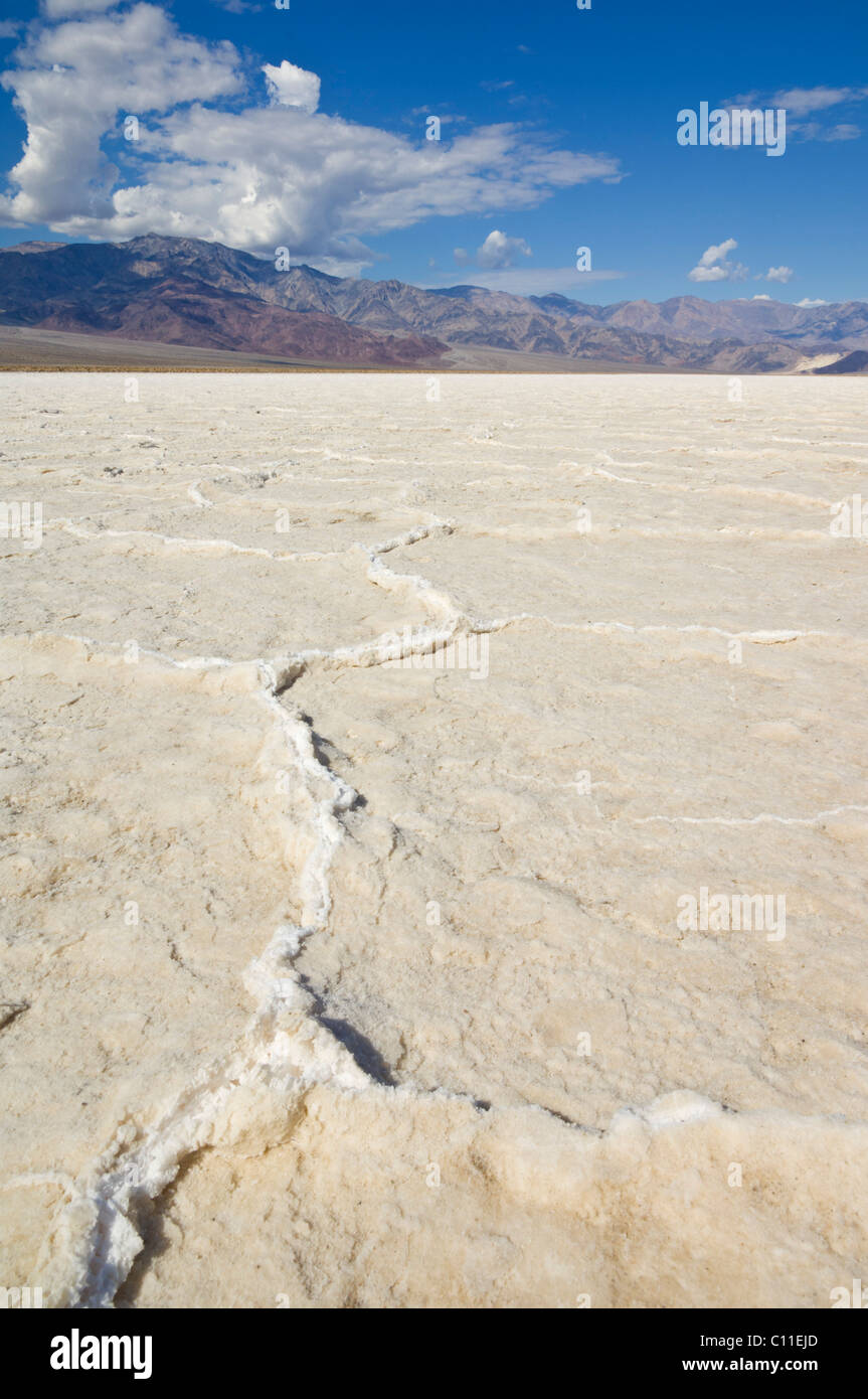 Salt pan polygons Devil's Golf course Badwater road Death Valley National Park, California, USA Stock Photo