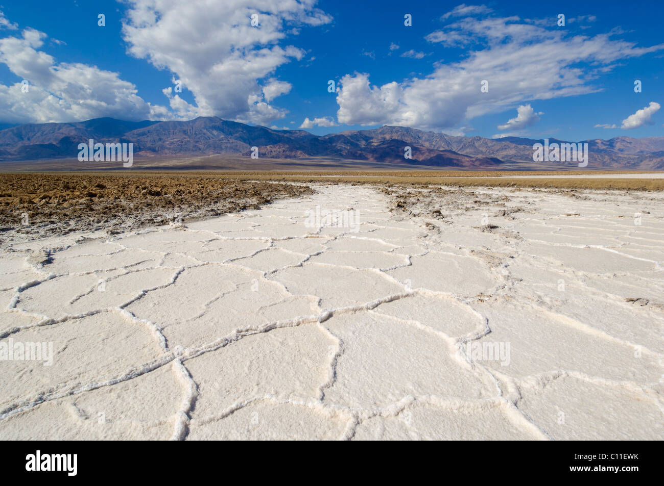 Salt pan polygons Devil's Golf course Badwater road Death Valley National Park, California, USA Stock Photo