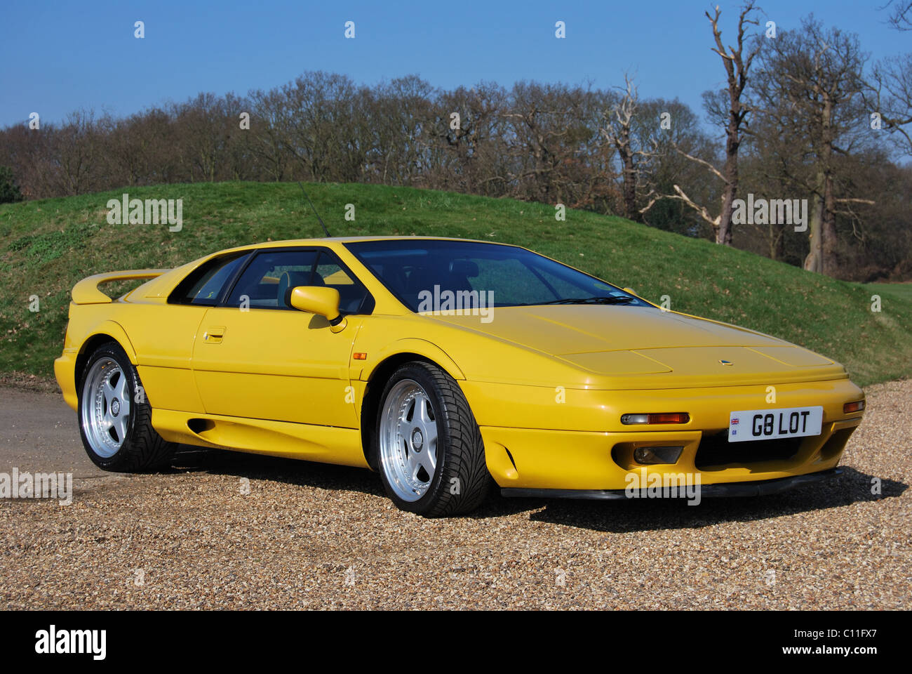 Lotus Esprit at Stoke Poges 5 Stock Photo