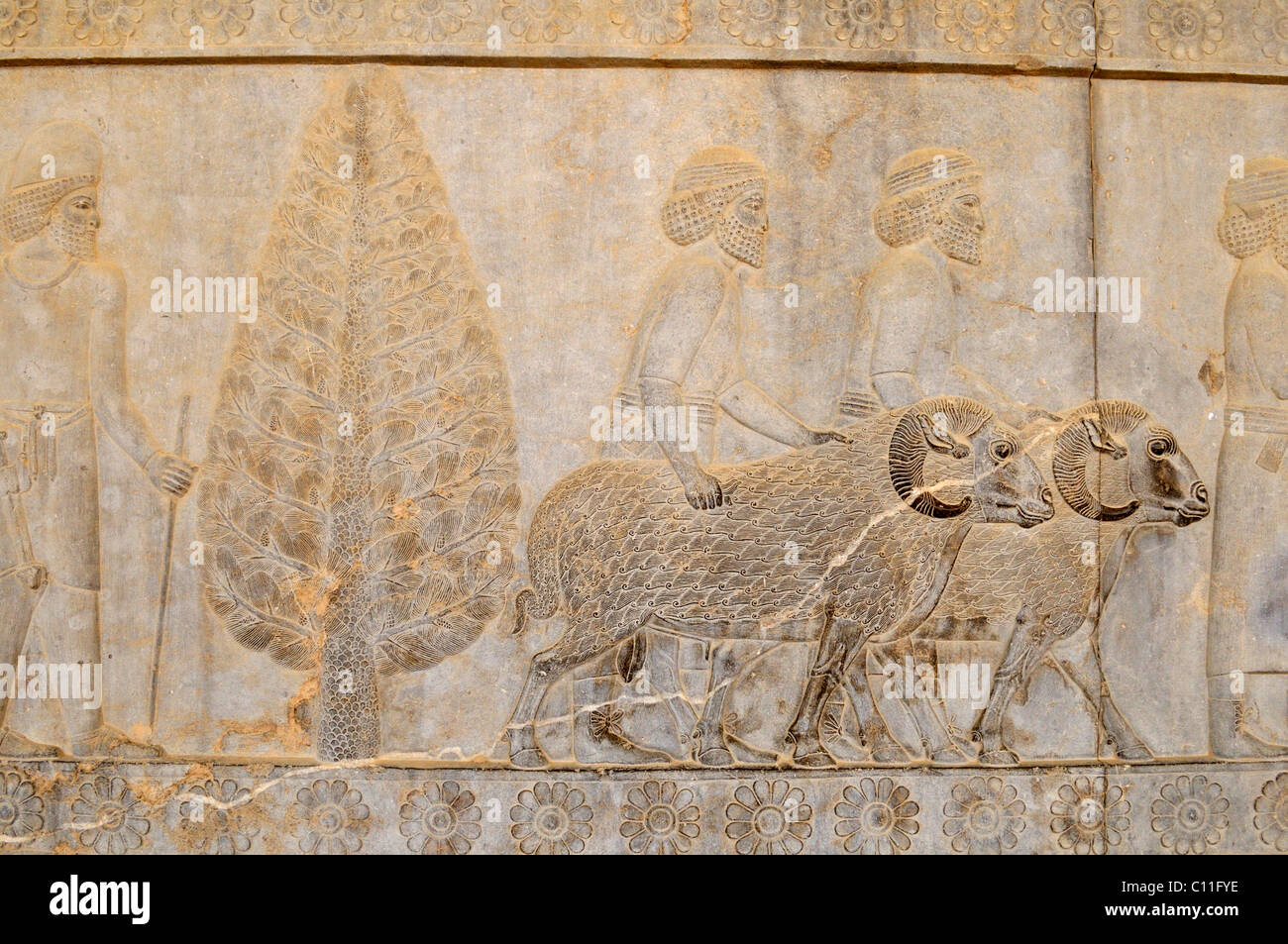 Bas-relief with sheep, rams on the Apadana Palace at the Achaemenid archeological site of Persepolis, UNESCO World Heritage Site Stock Photo