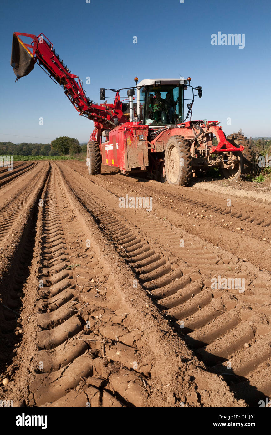 A farmer driving a potato harvester ready to lift potatoes Stock Photo
