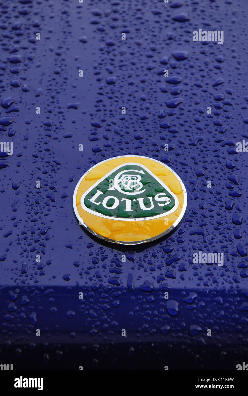 Lotus logo on Lotus Elise 111S series 1 Stock Photo