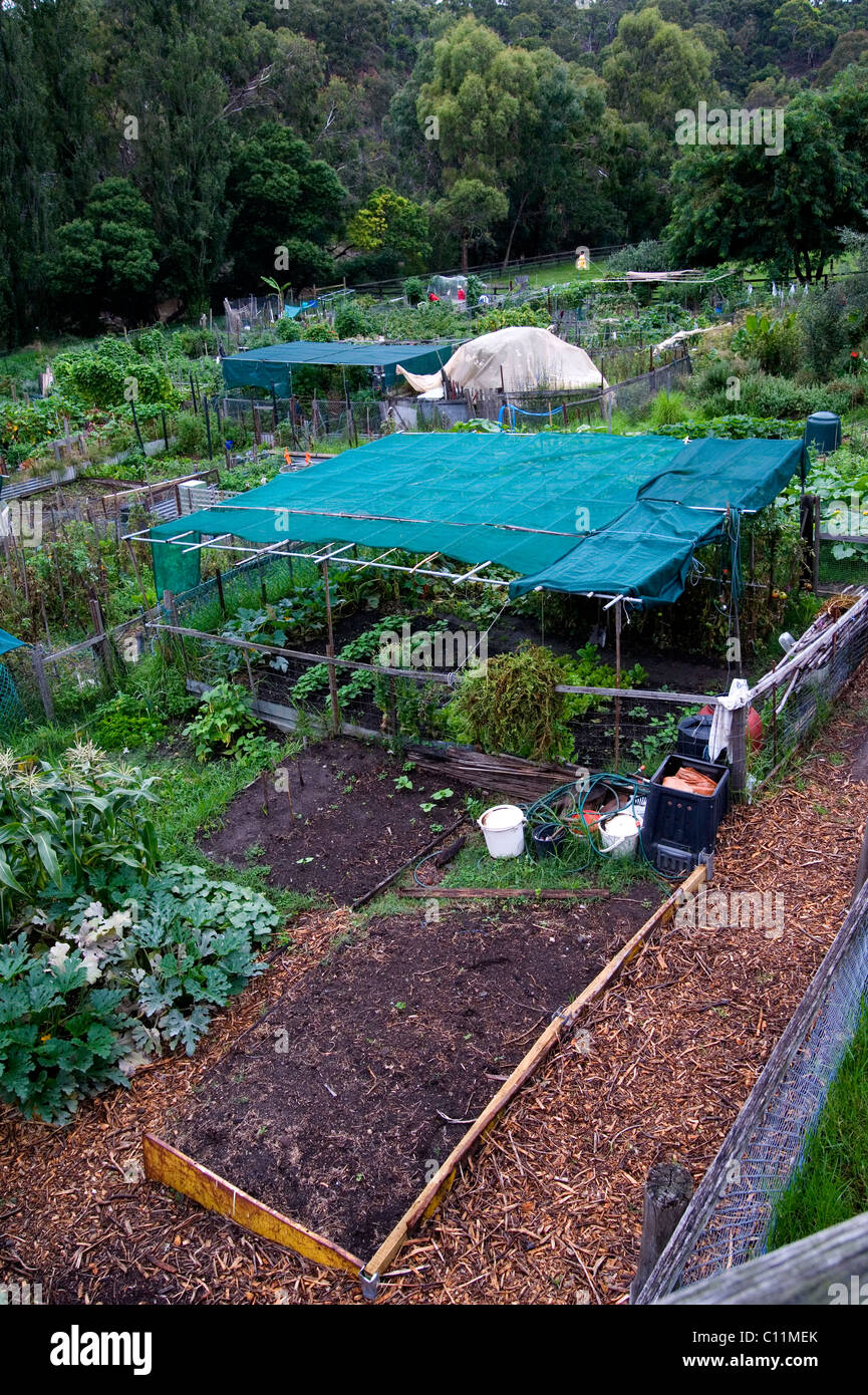 city farm allotments melbourne Australia Stock Photo Alamy