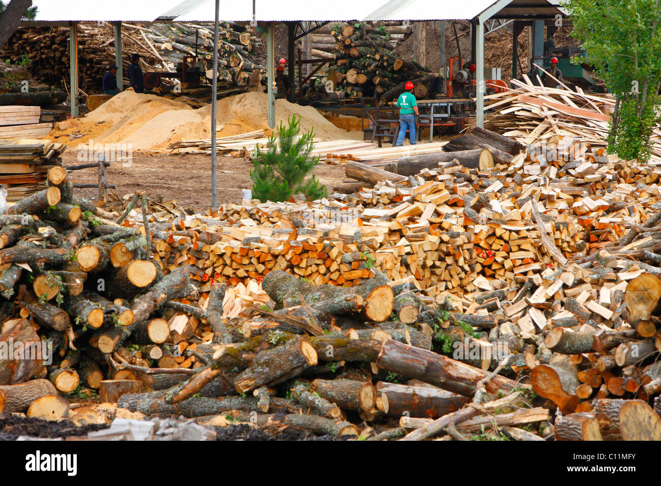 Firewood, BioBio region, Chile, South America Stock Photo Alamy